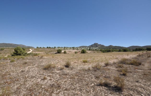 Land - Resale - Salinas - Salinas Centro