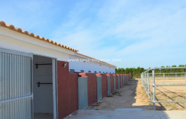Land - Resale - San Miguel de Salinas - Inland