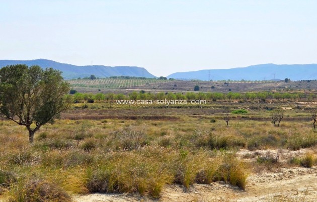 Land - Resale - San Miguel de Salinas - San Miguel de Salinas