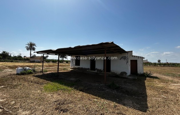 Land - Resale - San Miguel de Salinas - San Miguel Salinas