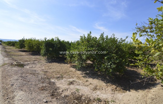 Land - Resale - Santomera - Santomera