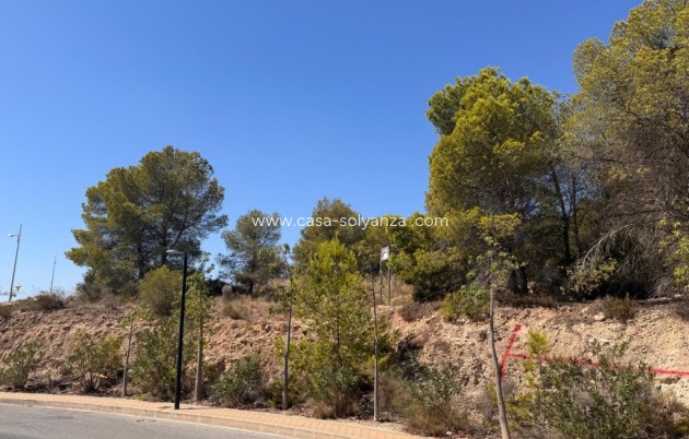 Land - Resale - Sierra Cortina - Inland