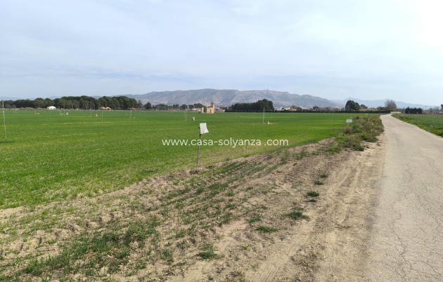 Land - Resale - Villena - CSRES-88495