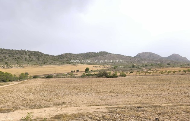 Land - Resale - Yecla - Inland