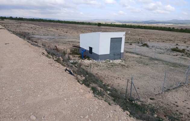 Land - Resale - Yecla - Inland