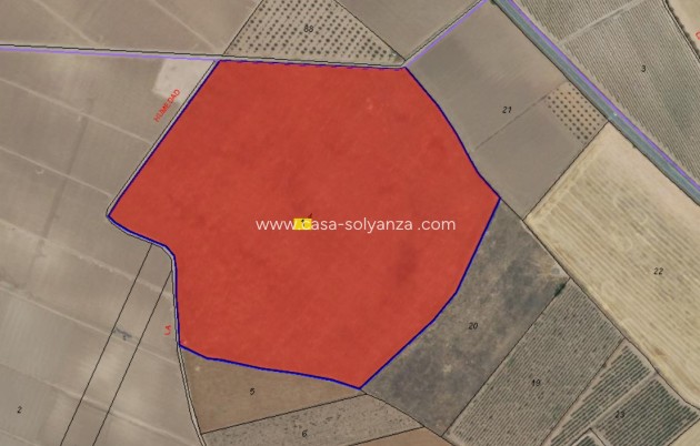 Land - Resale - Yecla - Inland