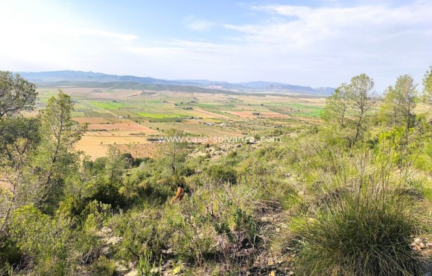 Land - Resale - Yecla - Inland