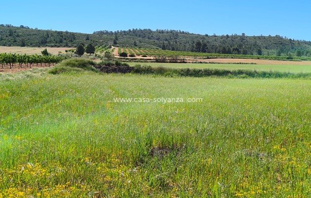 Land - Resale - Yecla - Inland