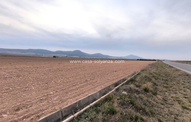 Land - Resale - Yecla - Yecla Centro