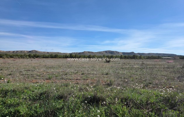 Land - Resale - Yecla - Yecla