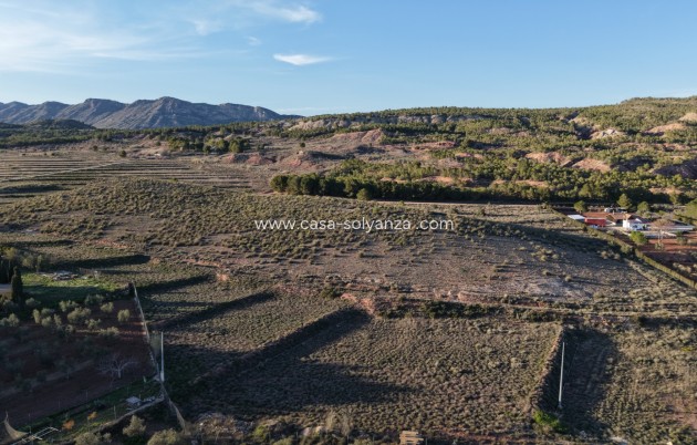 Land - Resale - Yecla - Yecla