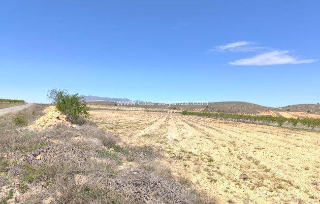 Land - Reventa - Abanilla - Inland