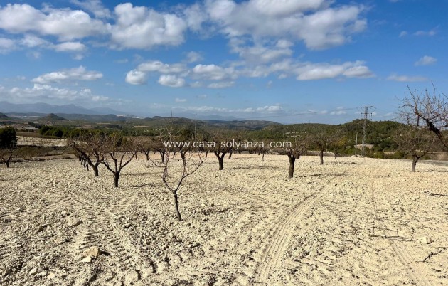 Land - Reventa - Bullas - Inland