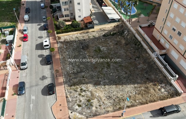 Land - Reventa - Guardamar del Segura - Costa Blanca