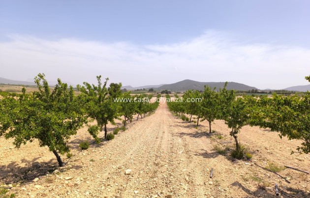 Land - Reventa - Pinoso - Inland