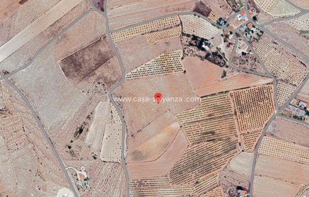 Land - Reventa - Pinoso - Inland