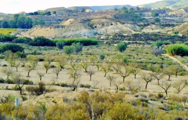 Land - Reventa - Torremendo - Torremendo