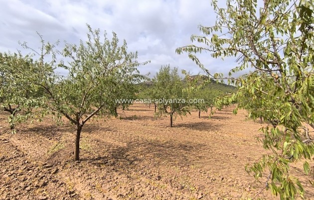 Land - Reventa - Yecla - Inland
