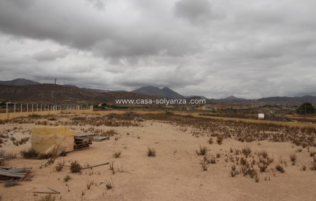 Land - Revente - Abanilla - Abanilla