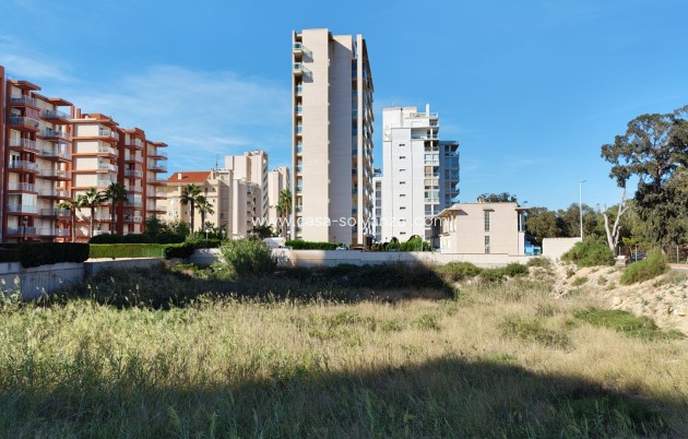 Land - Revente - Guardamar del Segura - Guardamar del Segura