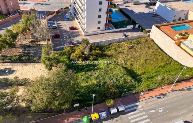 Land - Revente - Guardamar del Segura - Guardamar