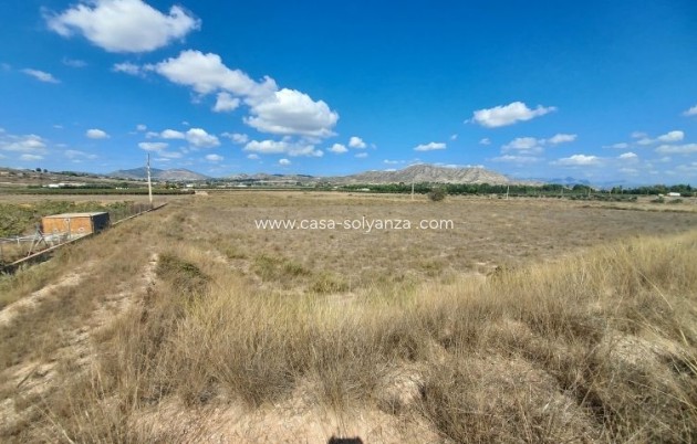 Land - Revente - Hondón de las Nieves - Inland