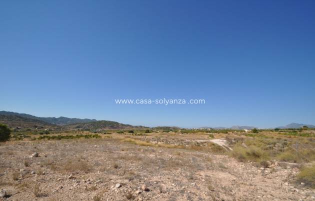 Land - Revente - Macisvenda - Inland