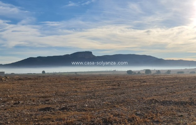 Land - Revente - Monóvar - Inland