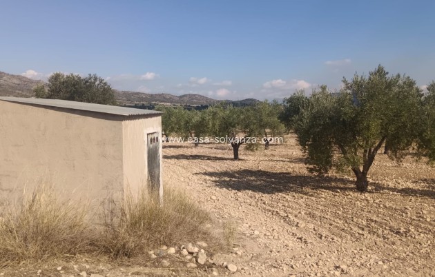 Land - Revente - Salinas - Inland