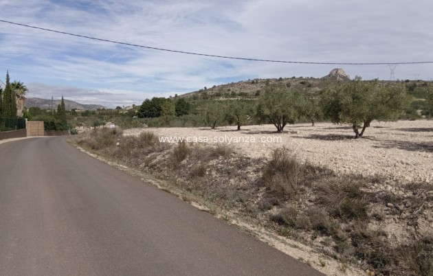 Land - Revente - Salinas - Inland