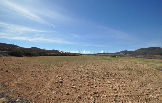 Land - Revente - Salinas - Salinas Centro