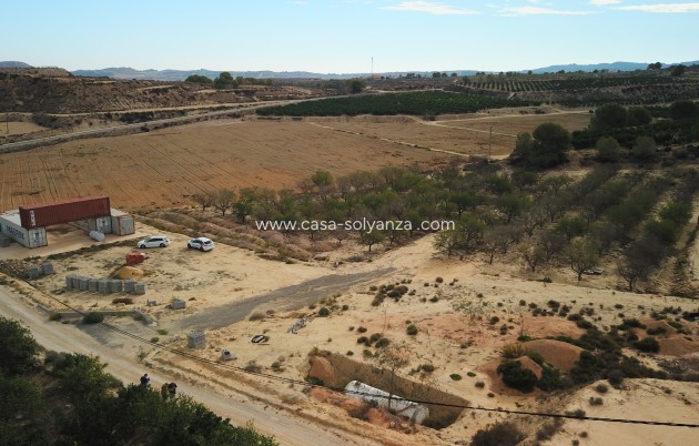 Land - Revente - Torremendo - Torremendo - Country