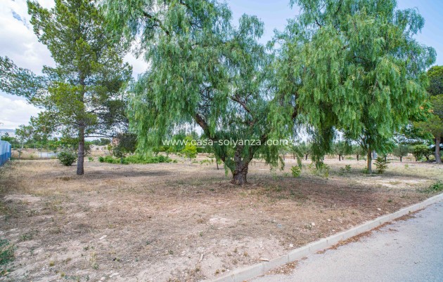 Land - Revente - Ubeda - Ubeda