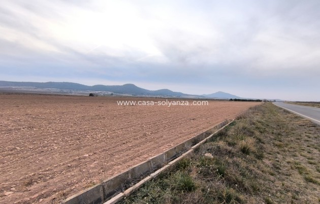 Land - Revente - Yecla - Inland