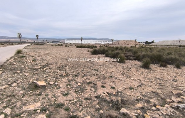 Land - Revente - Yecla - Inland