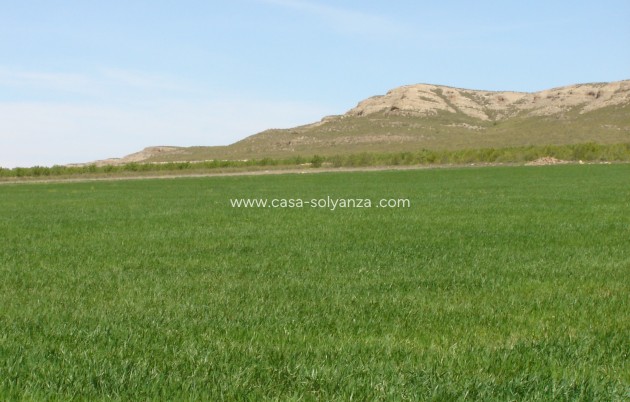 Land - Revente - Yecla - Inland