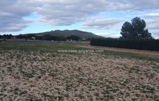 Land - Revente - Yecla - Yecla