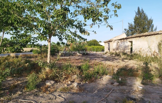Land - Wiederverkauf - Catral - Catral