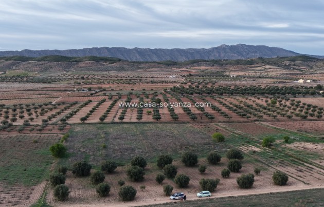 Land - Wiederverkauf - Jumilla - Jumilla
