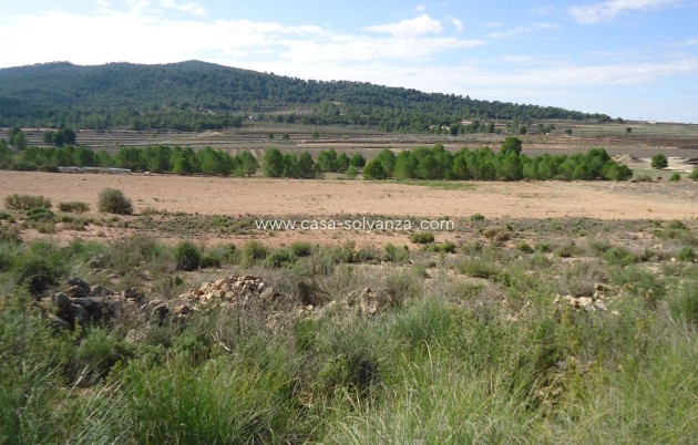 Land - Wiederverkauf - Monóvar - Inland