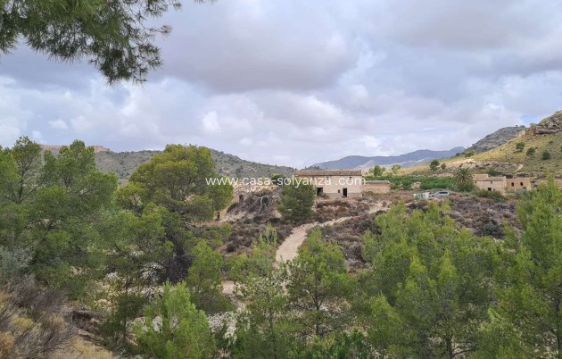Land - Wiederverkauf - Murcia - Inland