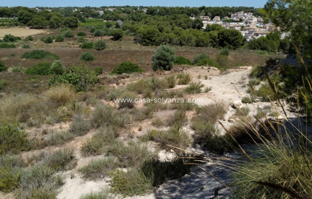 Land - Wiederverkauf - Pinar de Campoverde - Pinar de Campoverde