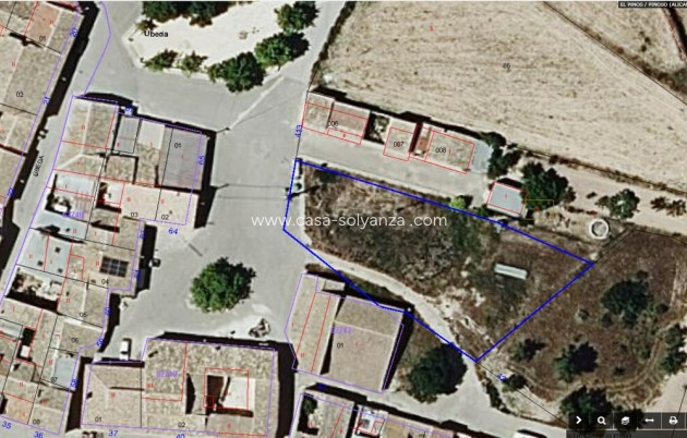 Land - Wiederverkauf - Pinoso - CSAV-68802