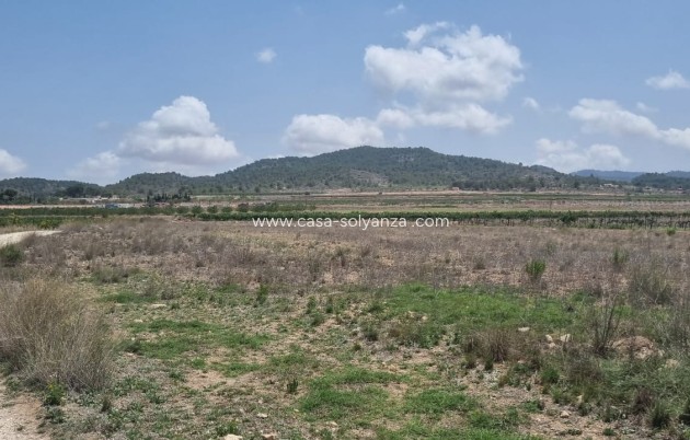 Land - Wiederverkauf - Pinoso - Inland