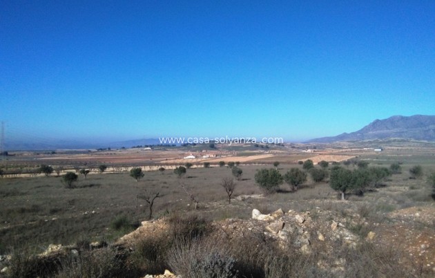 Land - Wiederverkauf - Torre Del Rico - Inland