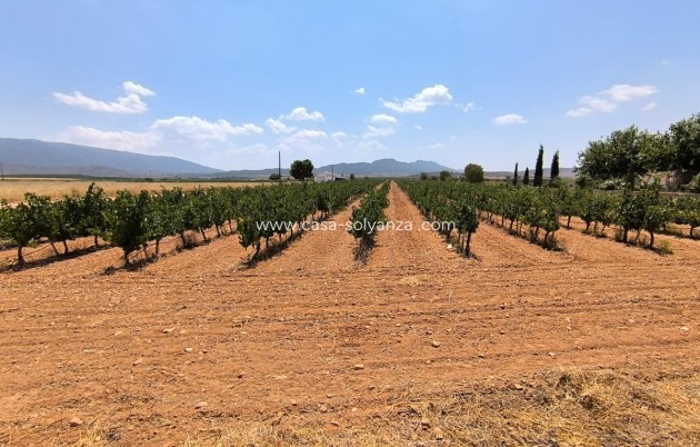 Land - Wiederverkauf - Yecla - Yecla Centro