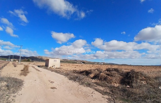 Land - Wiederverkauf - Yecla - Yecla