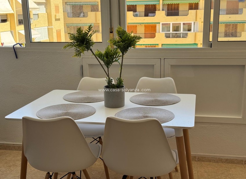 Long Term Rental - Flat - Torrevieja - La Mata