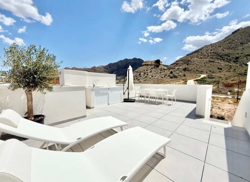 Neue Gebäude - Bungalow - Cox