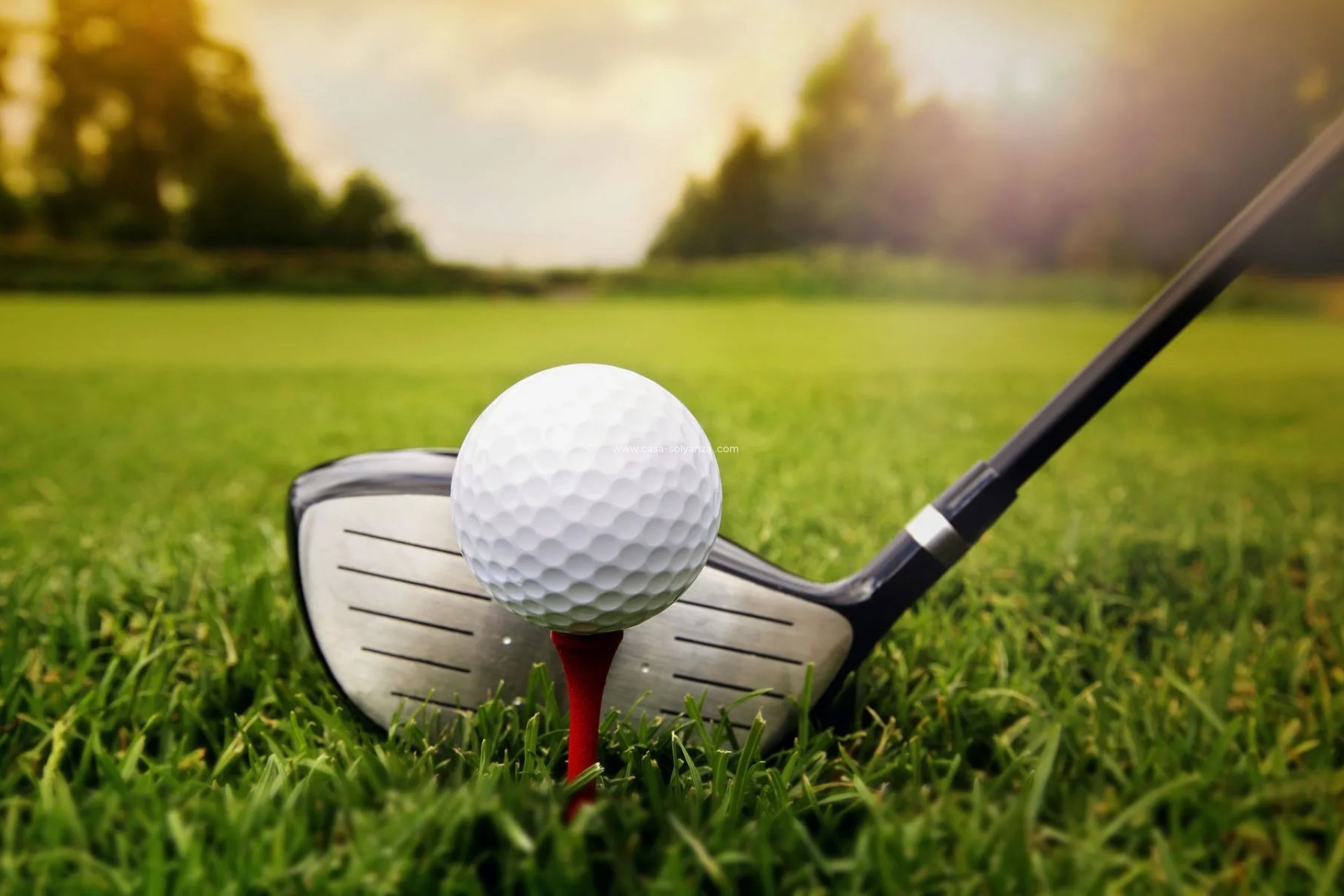 Neue Gebäude - Bungalow - Torrevieja